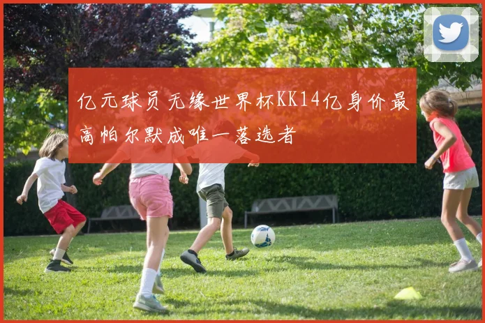 亿元球员无缘世界杯KK14亿身价最高帕尔默成唯一落选者